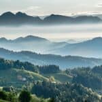 mountainous valley with evergreen forest against misty sky